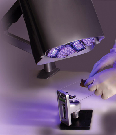 photo_2017-08-20_16-55-50