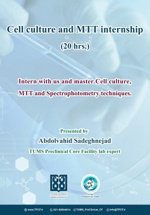 کارآموزی تکنیک های کشت سلول و ام تی تی (Cell Culture and MTT)