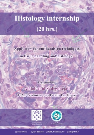 Histology Internship